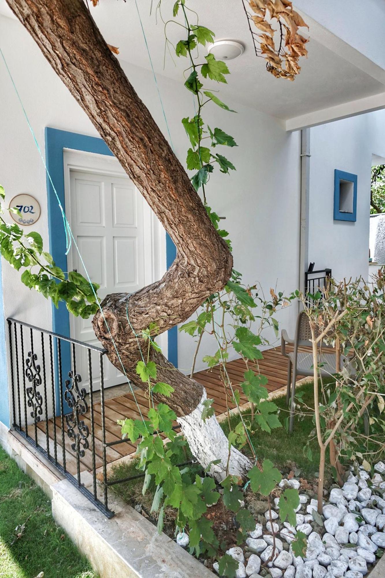 Payam Hotel Kaş Eksteriør billede